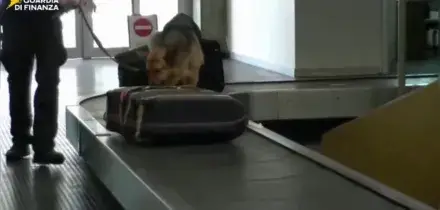 Finanziamenti ad Hamas per 7 mln attraverso associazioni, nove arresti