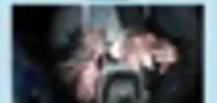 "7 milioni di euro ad Hamas": 9 arresti a Genova