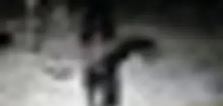 Mosca diffonde video di drone del presunto attacco a residenza Putin