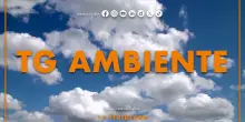 Tg Ambiente - 4/1/2026