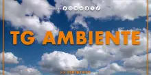 Tg Ambiente - 18/1/2026