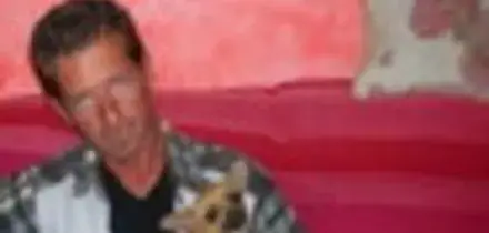 Bossetti: "Mai fatto porno ricerche su ragazzine, sono immagini prodotte in automatico"