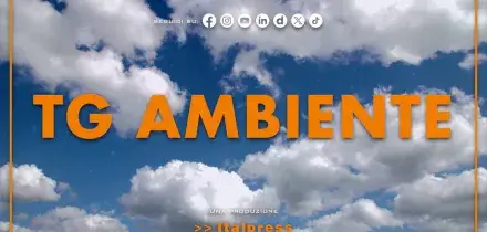 Tg Ambiente - 25/1/2026