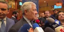 Nuovo Dl Sicurezza, Tajani: "Dopo i fatti di Torino servono garanzie, decreto da affinare"
