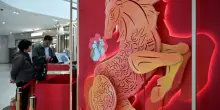 Cina, i marchi internazionali sfruttano Anno del Cavallo per entrare nel mercato
