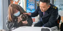 Cina, gli animali domestici adesso possono viaggiare sui treni ad alta velocit&agrave;
