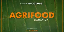 Agrifood Magazine - 11/2/2026