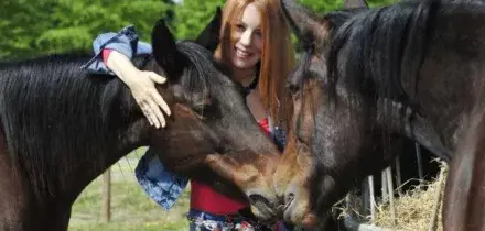 "I cavalli non si mangiano": al via alla Camera l'iter della Pdl Brambilla sugli equidi come animali d'affezione