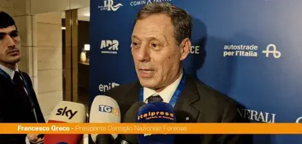 Referendum, Greco (Cnf) "Grandissimo apprezzamento per le parole di Mattarella"