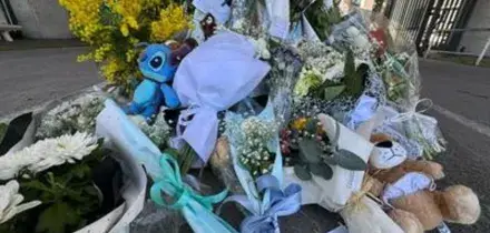 Addio al piccolo Domenico, Forza Italia: "Subito una commissione d'inchiesta per trovare la verit&agrave;"