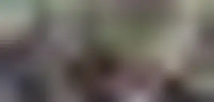 Ucraina, in migliaia sfilano a Parigi a 4 anni dall'invasione russa