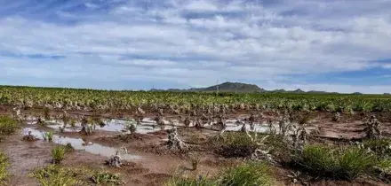 L'Ue propone stop dei dazi sui fertilizzanti per un anno