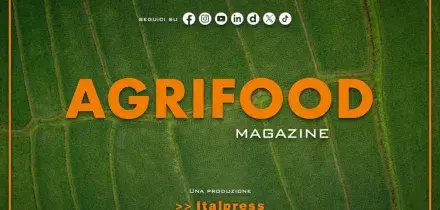 Agrifood Magazine - 25/2/2026