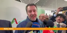 Salvini "Cani su voli &egrave; un bel passo avanti di civilt&agrave;"