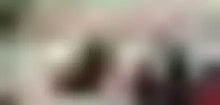 Iran, Mantovano: la situazione &egrave; grave e preoccupante