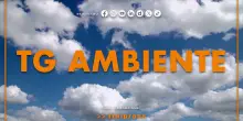 Tg Ambiente - 1/3/2026