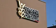 Conflitto in Medio Oriente: da Consorzi Agrari d'Italia strumenti finanziari e tecnici a sostegno degli agricoltori
