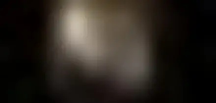 Un Vermeer a Torino: la Donna in blu che legge una lettera