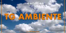 Tg Ambiente - 15/3/2026