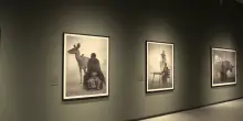 Torino, mostra "Nick Brandt" alle Gallerie d'Italia di Intesa Sanpaolo