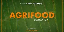 Agrifood Magazine - 18/3/2026