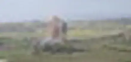 Libano, Idf hanno bombardato ponte di Qasmiyeh tra Sidone e Tiro