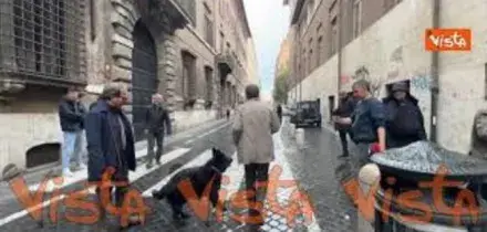 Ecco Oscar, il cane di Conte che lo ha accompagnato al voto per il Referendum