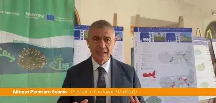 Pecoraro Scanio "Contro crisi energetica la sfida delle rinnovabili sostenibili"