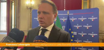 Nuovo accordo Masaf-Alibaba, Lollobrigida "Ampliamo indicazioni geografiche"