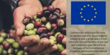 Fitto: "Export agroalimentare Ue resta solido, settore chiave per crescita"