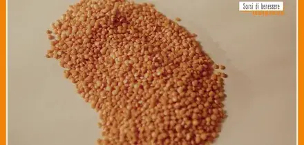 Sorsi di Benessere - L'insalata di lenticchie