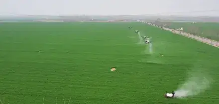 Cina, una fattoria smart trasforma la coltivazione dei cereali