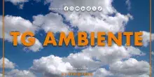 Tg Ambiente - 29/3/2026