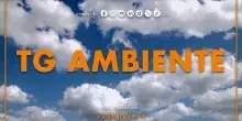 Tg Ambiente - 5/4/2026