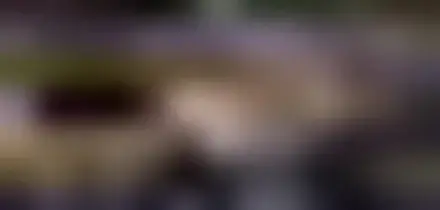 Iran, Russia e Cina votano contro risoluzione Onu su Stretto Hormuz