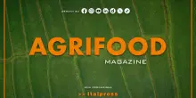 Agrifood Magazine - 8/4/2026