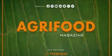 Agrifood Magazine - 15/4/2026
