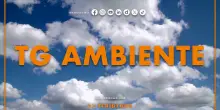 Tg Ambiente - 19/4/2026