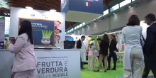 Ismea a Macfrut, cresce l'attenzione delle famiglie verso frutta e verdura