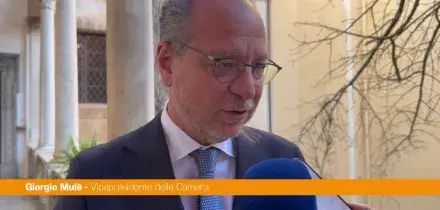 Hormuz, Mul&egrave; "Situazione molto preoccupante"