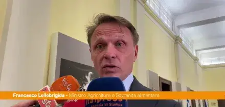 Agrofarmaci, Lollobrigida "Lavoriamo per proteggere nostro sistema produttivo"