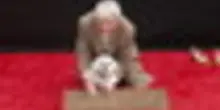 Glenn Close (con cane) alla cerimonia delle impronte a Hollywood