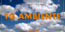 Tg Ambiente - 3/5/2026