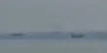 Trump: libereremo le navi a Hormuz. L'Iran: no a interferenze