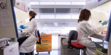 Il freno nascosto del cancro al seno: cosa ha scoperto la ricerca italiana
