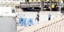 Passeggeri evacuati dalla nave da crociera dell'epidemia di Hantavirus | GUARDA
