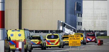 Hantavirus, assistente di volo Klm con sintomi lievi. Il punto