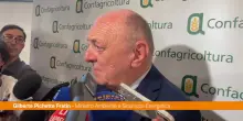 Dl bollette, Pichetto "Modifiche? Valuteremo in base a condizioni"