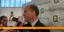 Agricoltura, Giansanti "Con blocco Hormuz peggiore crisi degli ultimi 100 anni"