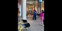 A Singapore cani robot cinesi intrattengono i turisti